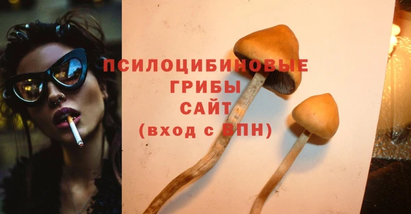 шишки Богородск