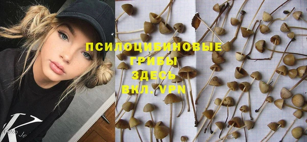 шишки Богородск