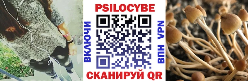 Купить  Макаров  Галлюциногенные грибы Cubensis 